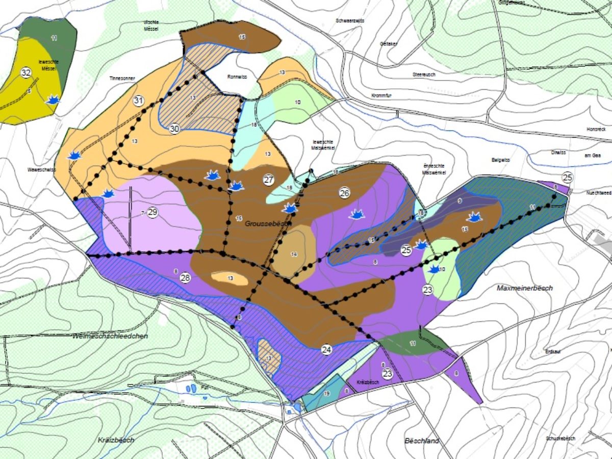 Cartographie stationnelle de la forêt communale de Flaxweiler